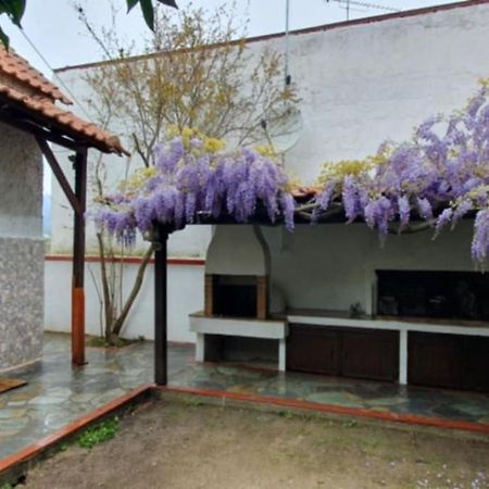 Villa Afroditi Неа-Врасна Экстерьер фото